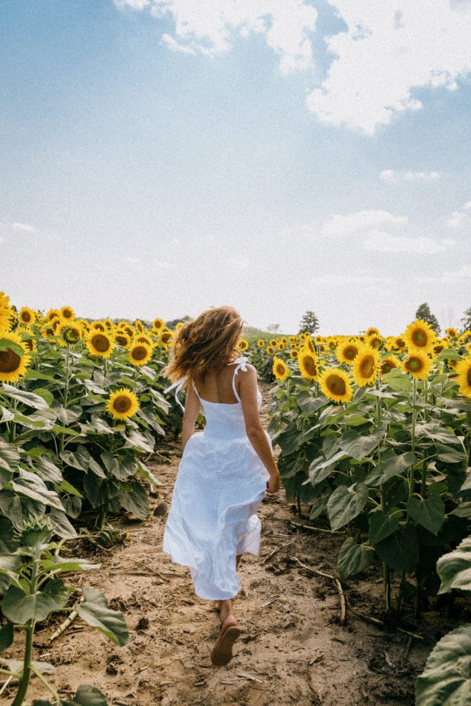 a woman pictured from behind, wearing a white dress, as she skips through a sunny sunflower field.